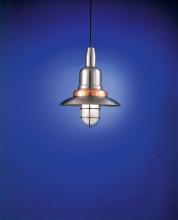 Hi-Lite MFG Co. H-1350-C-11-CLR - PENDANT COLLECTION