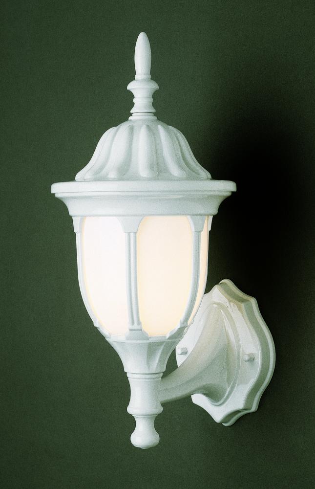 Hamilton 1-Light Opal Glass Traditional Outdoor Wall Lantern