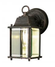 Trans Globe 40455 BG - Patrician 1-Light, Ring Top ,Clear Glass Open Base Square Wall Lantern