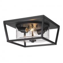 Golden 4309-OFM NB-SD - Flush Mount - Outdoor